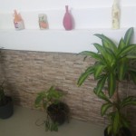 IMG_20160219_122617_resize