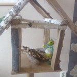 IMG_20160219_122742_resize